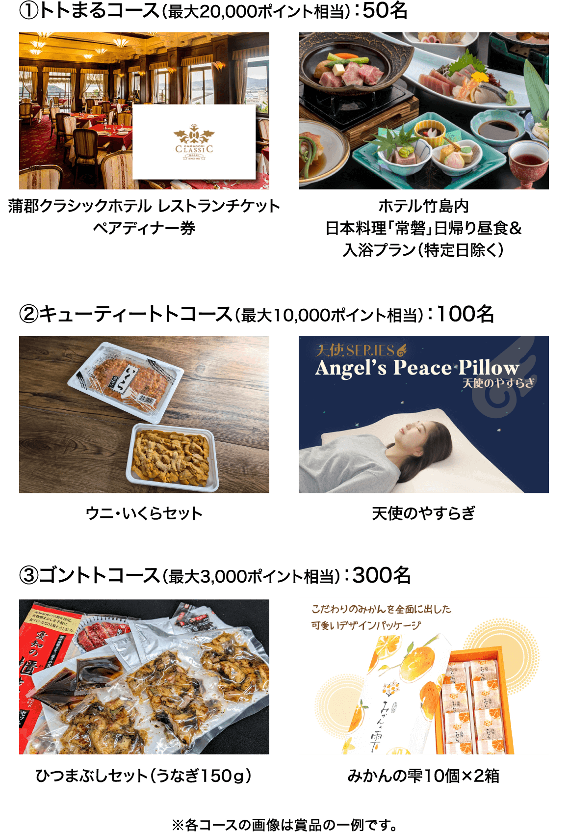 ガマポオリジナル「デジタルギフトカタログ」